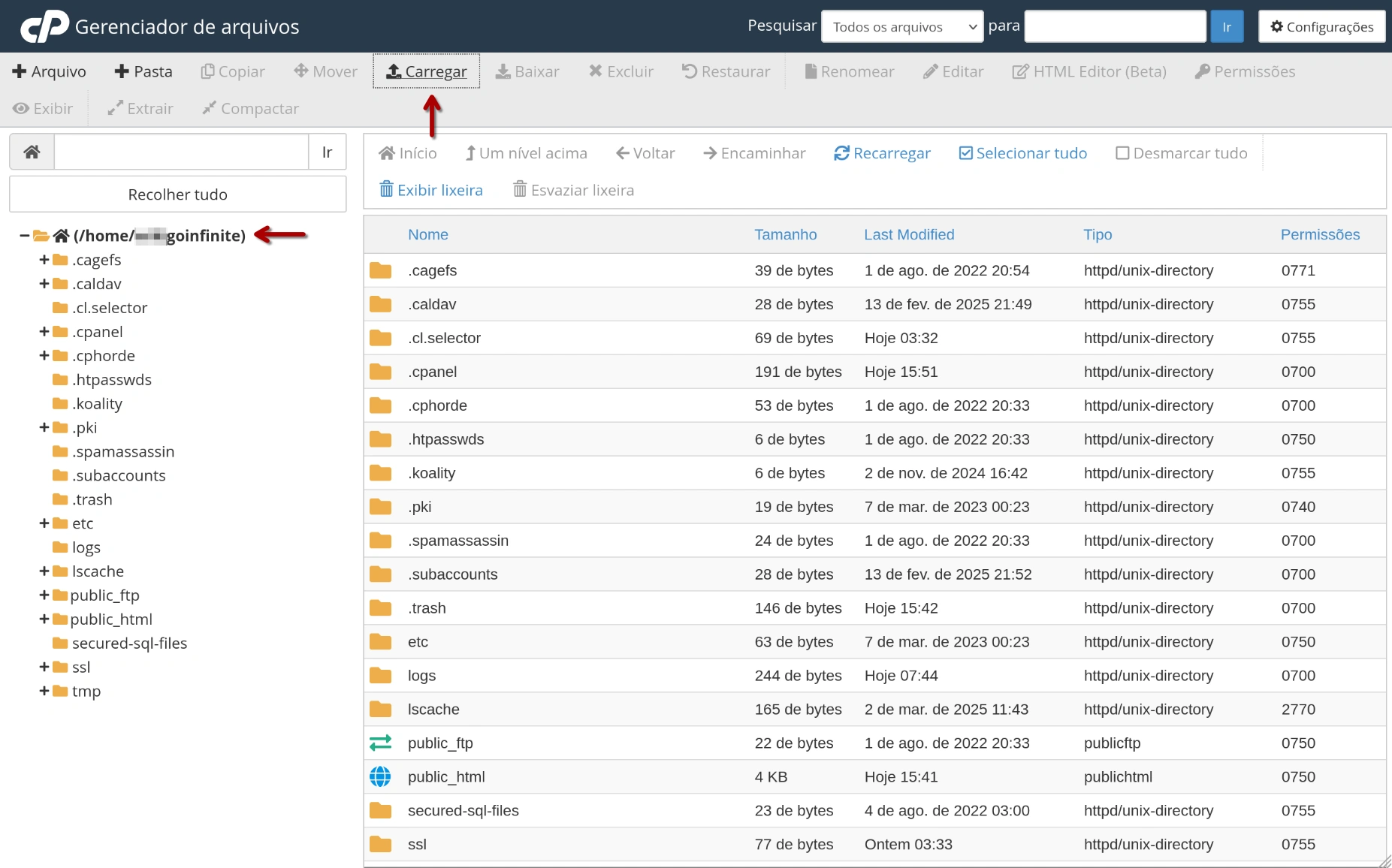 cPanel - Gerenciador de Arquivos - Upload