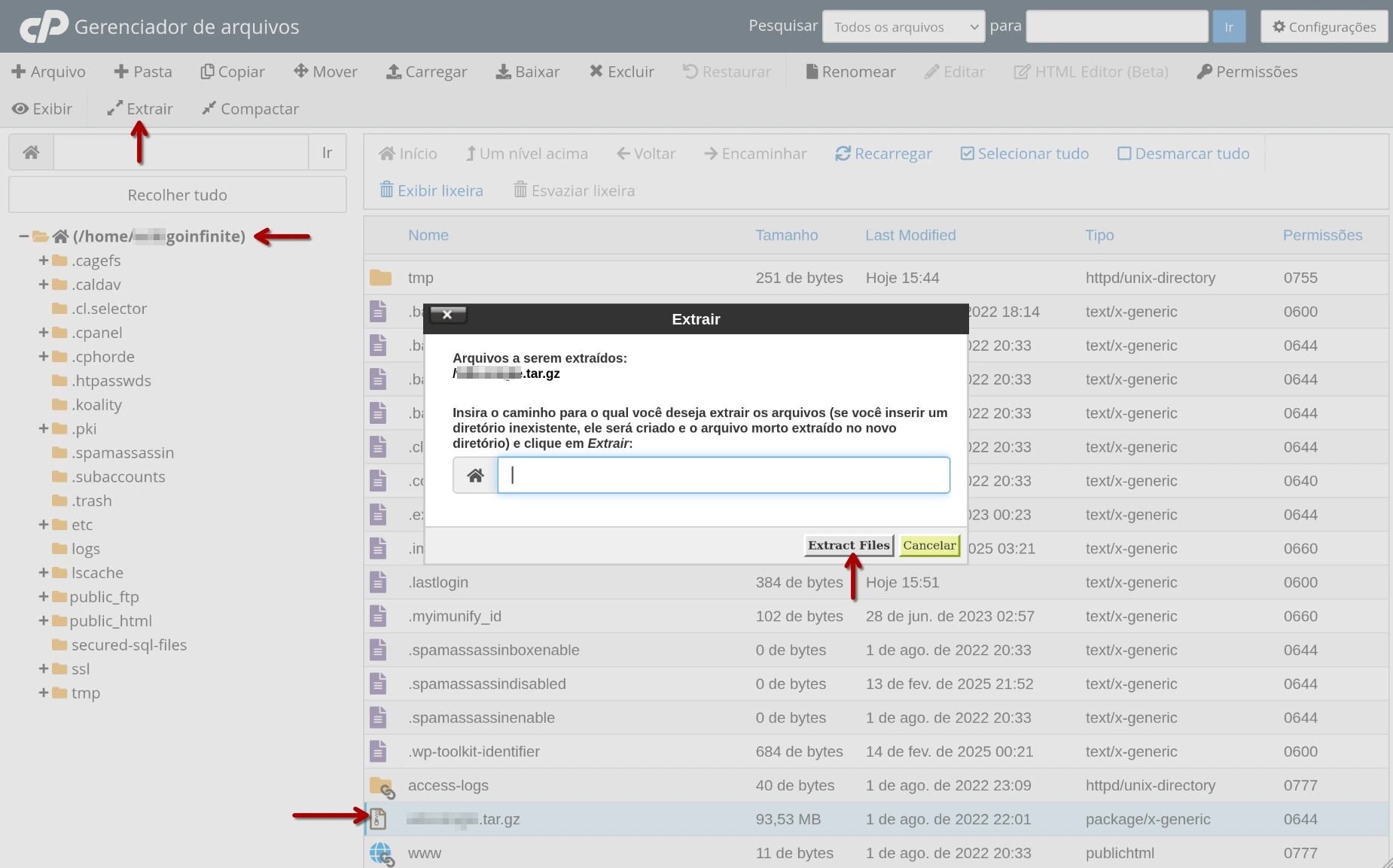 cPanel - Gerenciador de Arquivos - Extrair