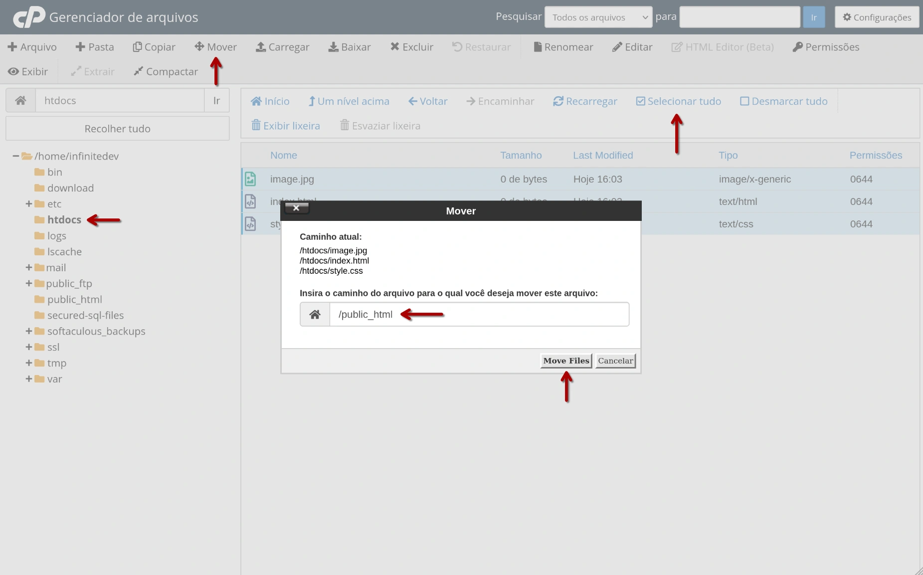 cPanel - Gerenciador de Arquivos - Mover